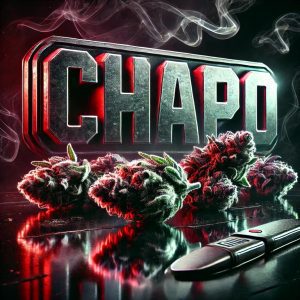 CHAPO Cannabis Artwork