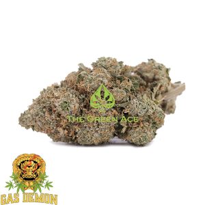 Gas Monkey – Indica – AAAA – Gas Demon 1