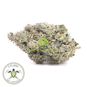 Purple Dragon – Hybrid – AAAA+ – Living Soil Organics 2