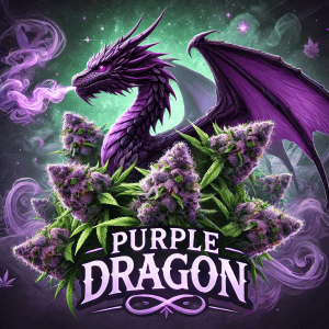 Purple Dragon Cannabis Strain Realistic Artwork