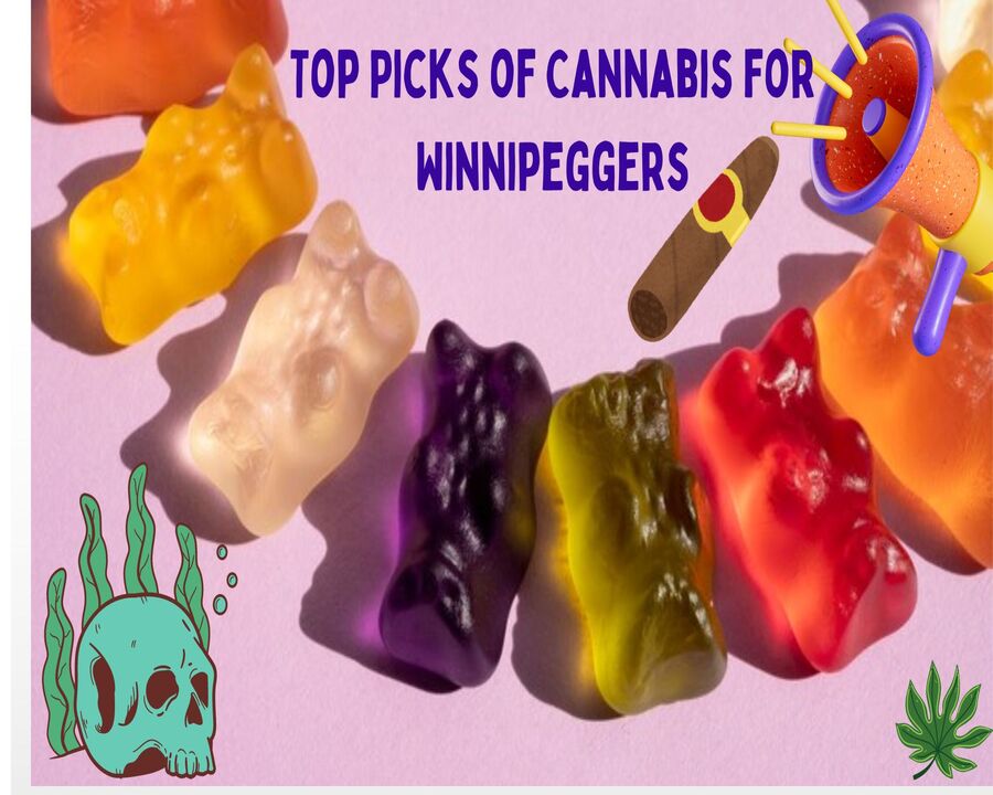 Taste the High: Top Picks of Cannabis for Winnipeggers to Try in 2025