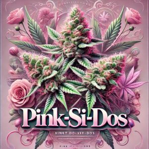 pink dos si dos artwork