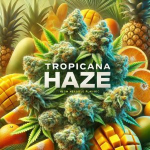 tropicana haze ultra realistic artwork