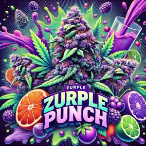 zurple punch artwork