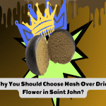 Why You Should Choose Hash Over Dried Flower in Saint John?