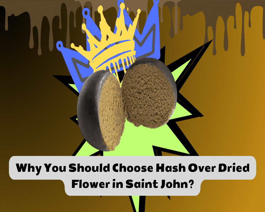 Why You Should Choose Hash Over Dried Flower in Saint John?