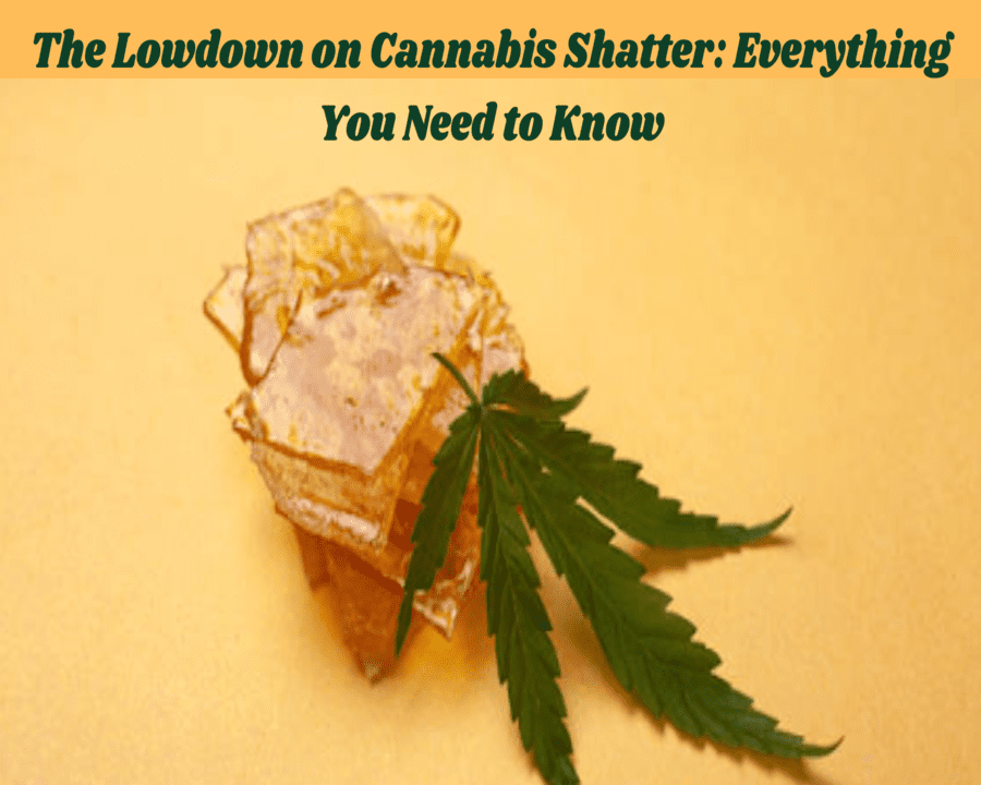 The Lowdown on Cannabis Shatter: Everything You Need to Know