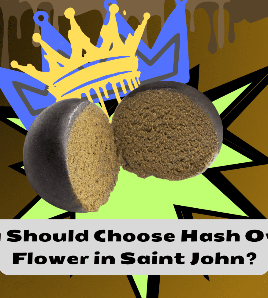 Why You Should Choose Hash Over Dried Flower in Saint John?