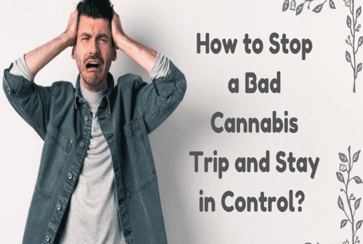 How to Stop a Bad Cannabis Trip and Stay in Control?