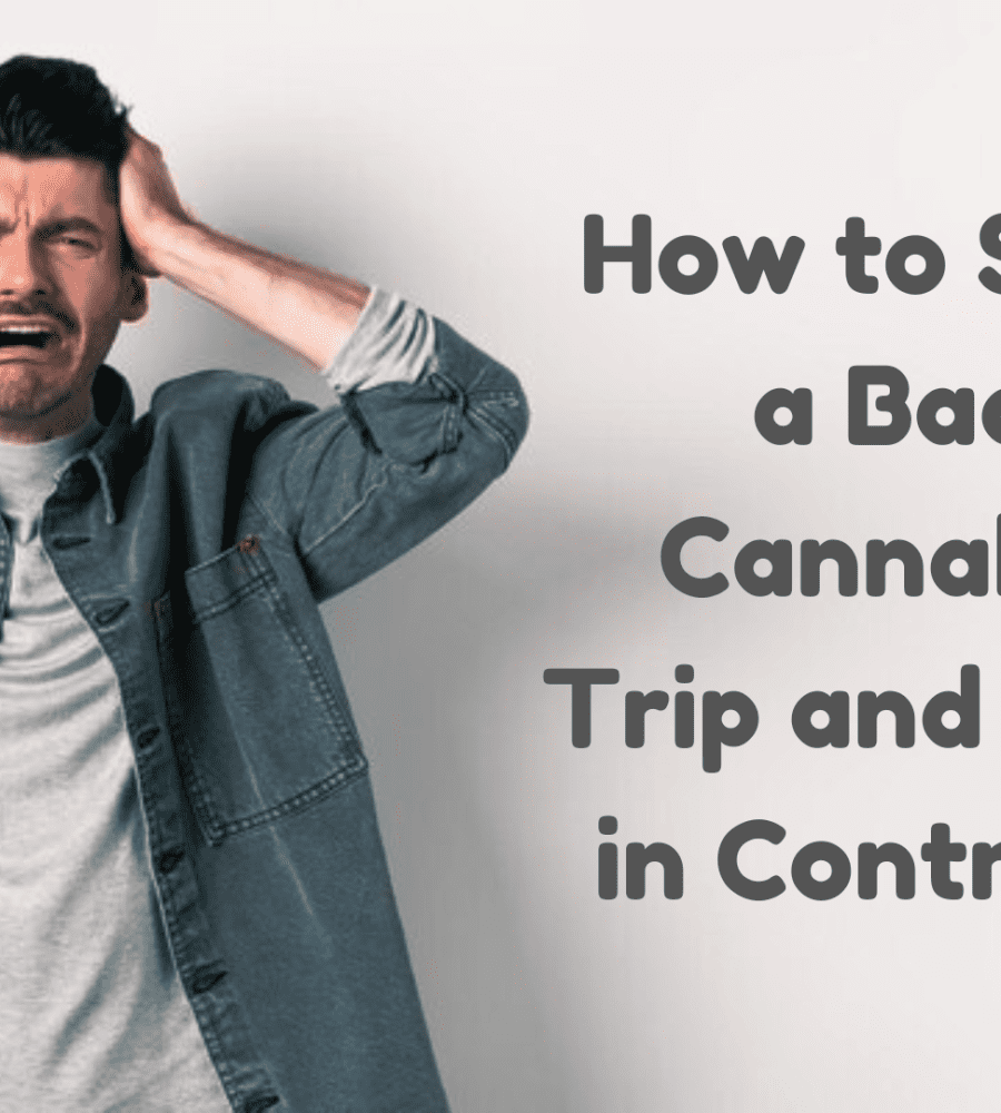 How to Stop a Bad Cannabis Trip and Stay in Control?