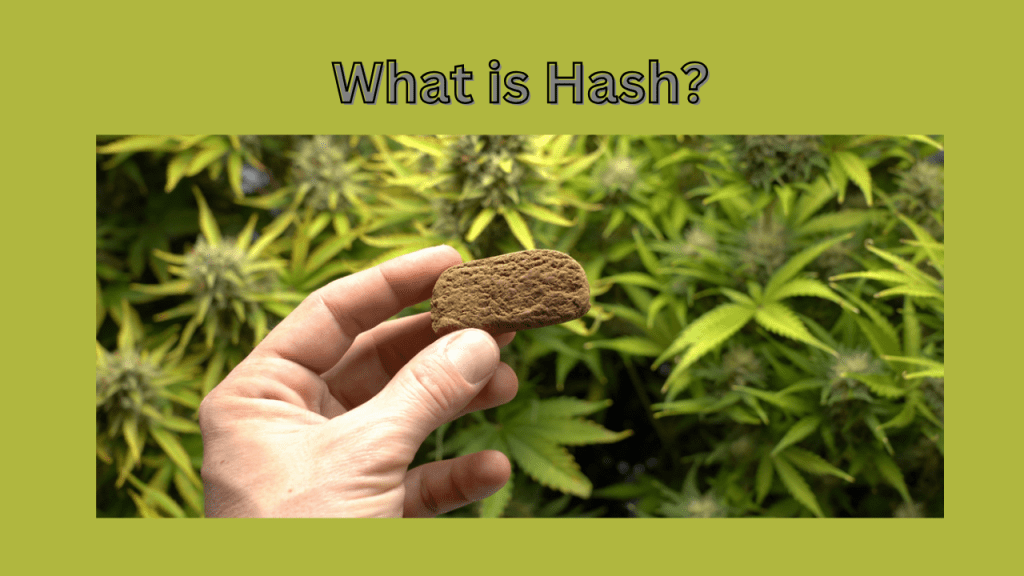 A Guide to Smoke Hash Better than Indian Sages