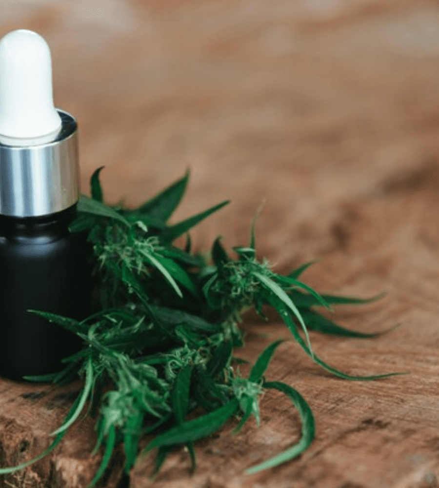 Finding Calm With Cannabis Oil: A Relaxation Tool for Brantfordians