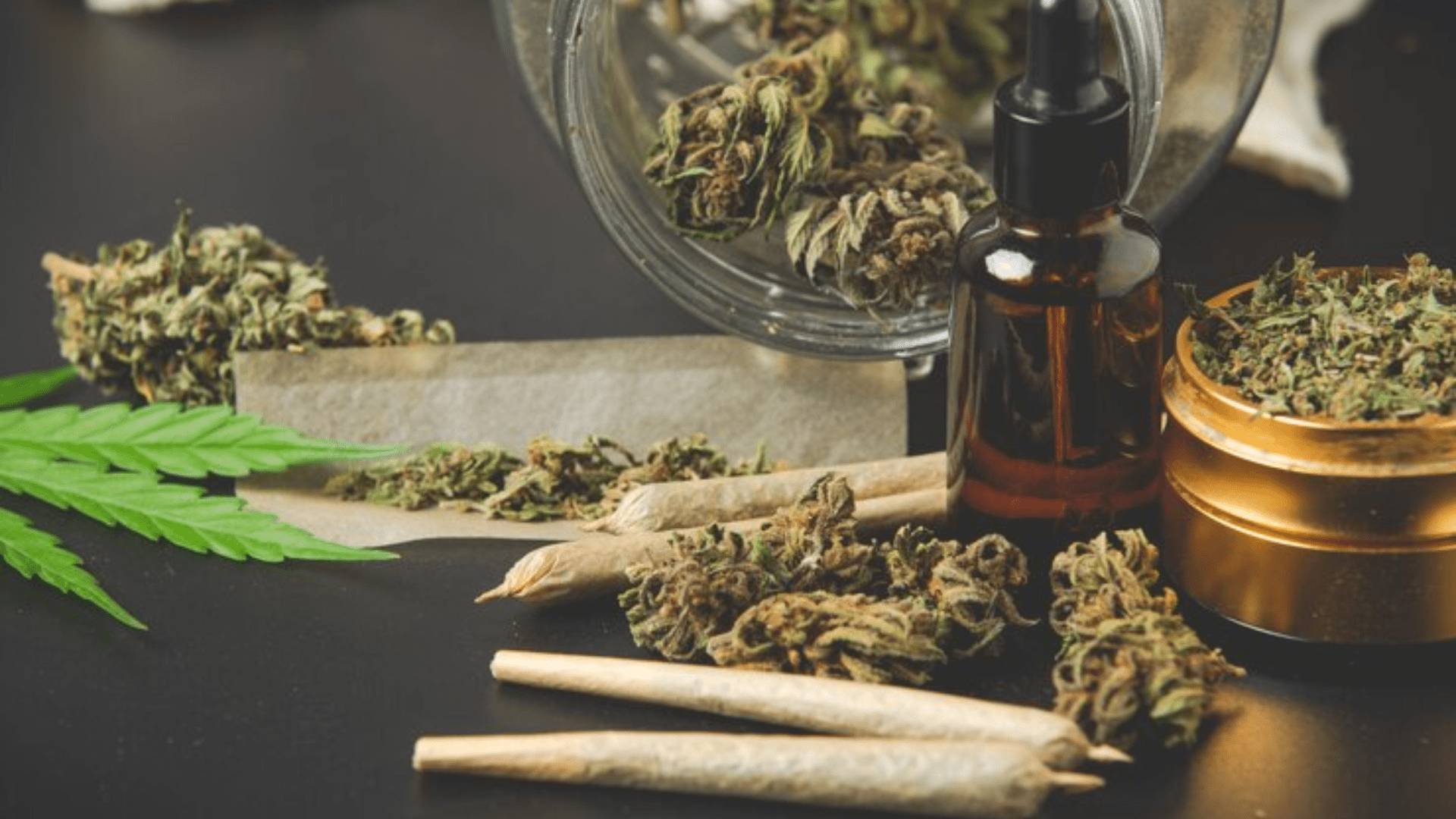 Finding Calm With Cannabis Oil: A Relaxation Tool for Brantfordians