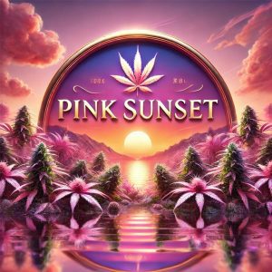 Realistic Pink Sunset Cannabis