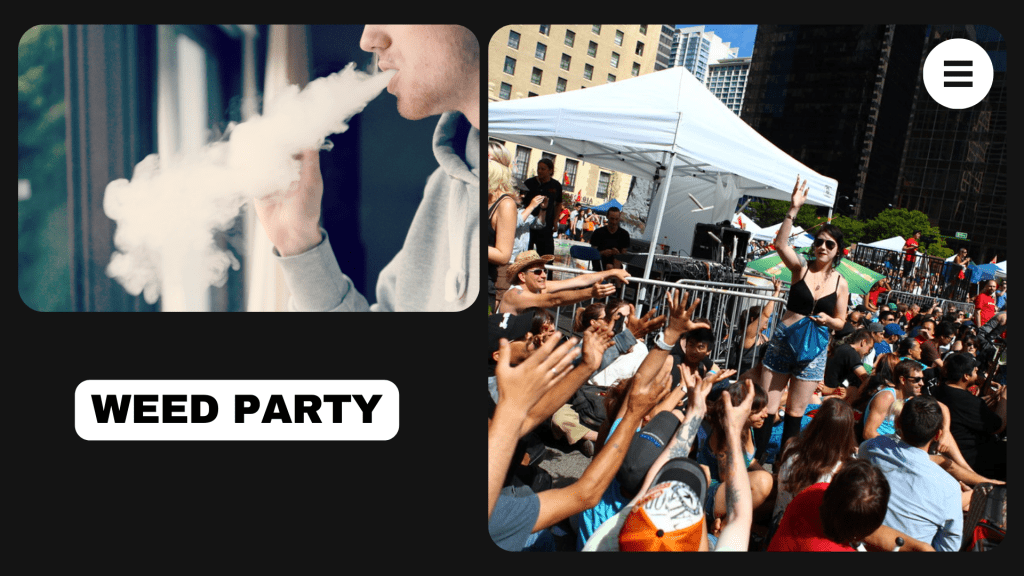 What You’ll Need to Host a Weed Party? 