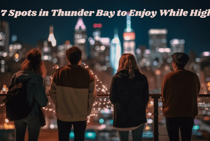 When the Sun Goes Down: 7 Spots in Thunder Bay to Enjoy While High