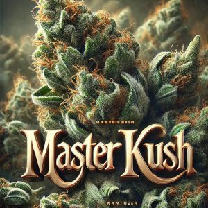 Master Kush Artwork