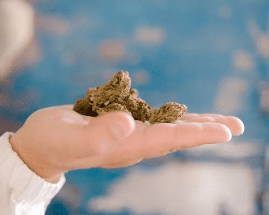 6 Tips for Buying the Cheapest Weed Online in Canada