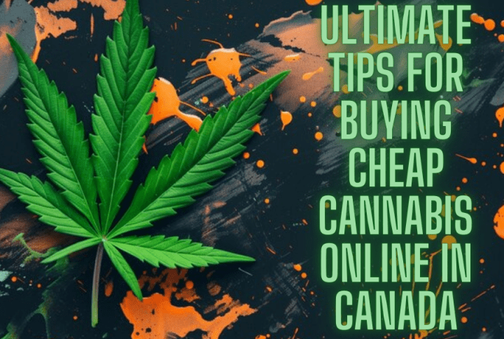 Ultimate Tips for Buying Cheap Cannabis Online in Canada