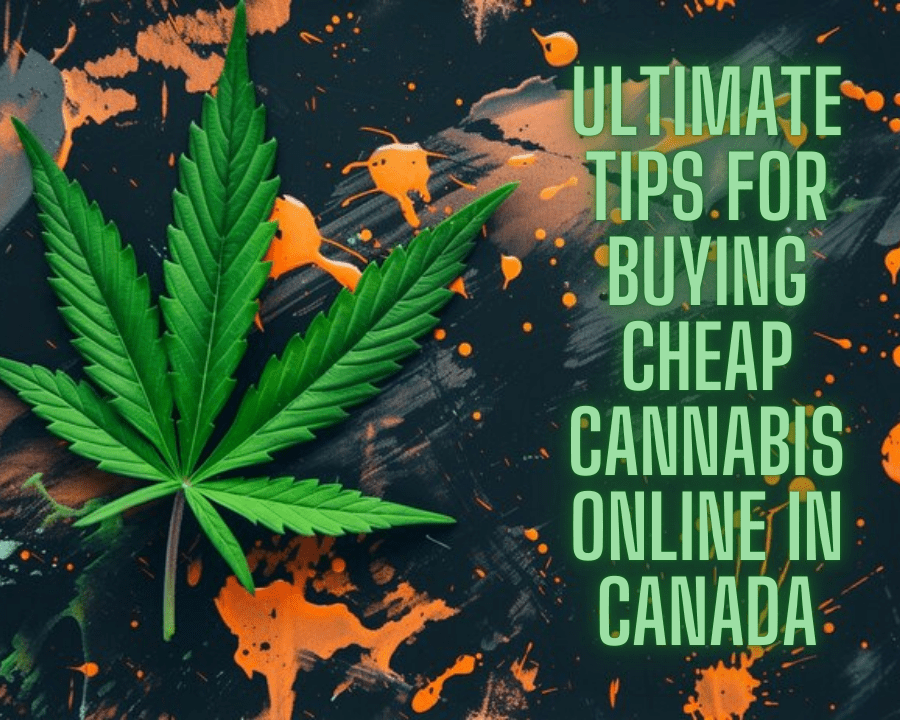 Ultimate Tips for Buying Cheap Cannabis Online in Canada